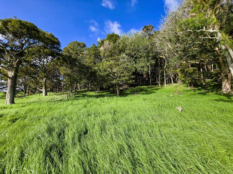 Lot Lot 3 Sills Road Dargaville_7