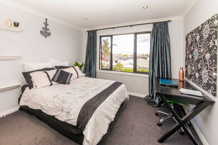 5a Goddard Lane Havelock North_14