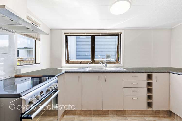 28a Powell Street Avondale_5