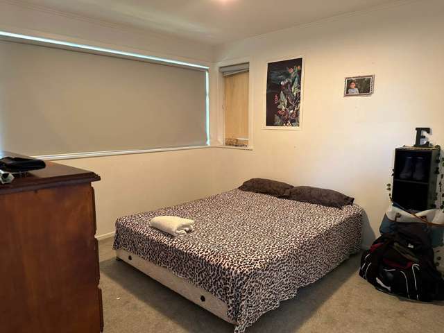 32 Kimber Hall Avenue Mount Roskill_2