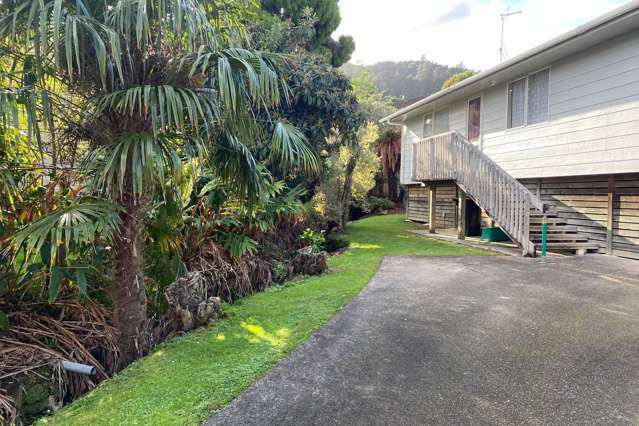 306 Sandes Street Thames_1