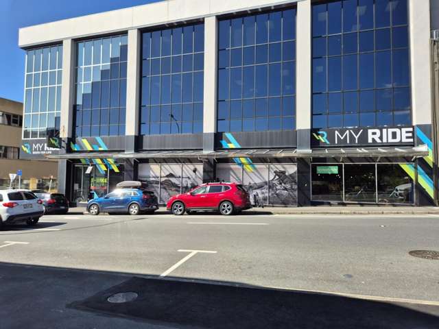 181 Vivian Street Te Aro_3