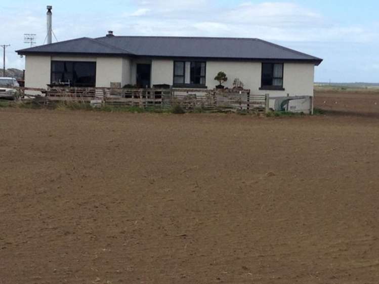 1110 Waimatuku Bush Road Taramoa_21