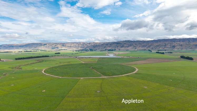 Aurora Dairies Te Pirita_9