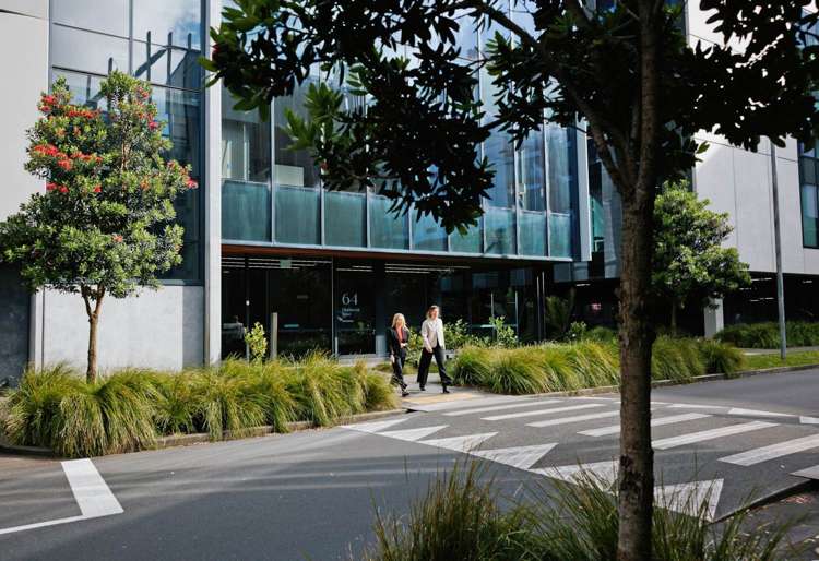 Building /64 Highbrook Drive East Tamaki_11