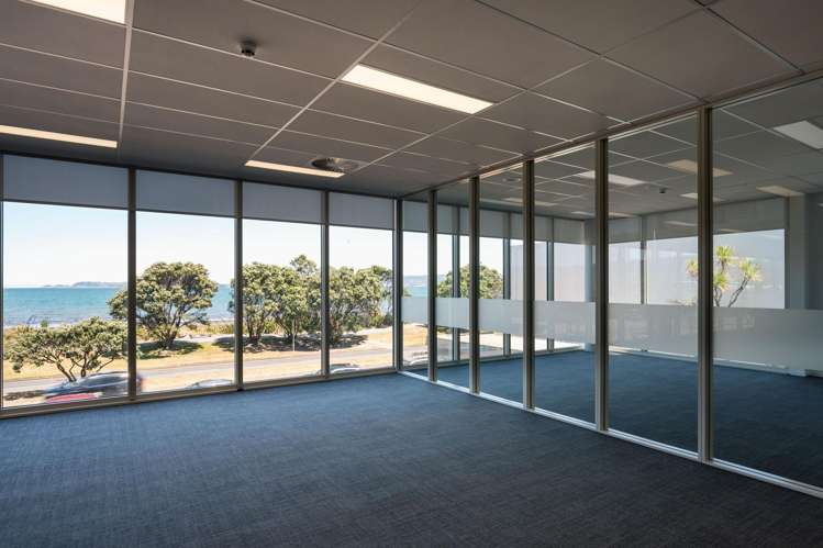 81 The Esplanade Petone_5