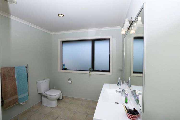 67a Davison Road Newstead_13