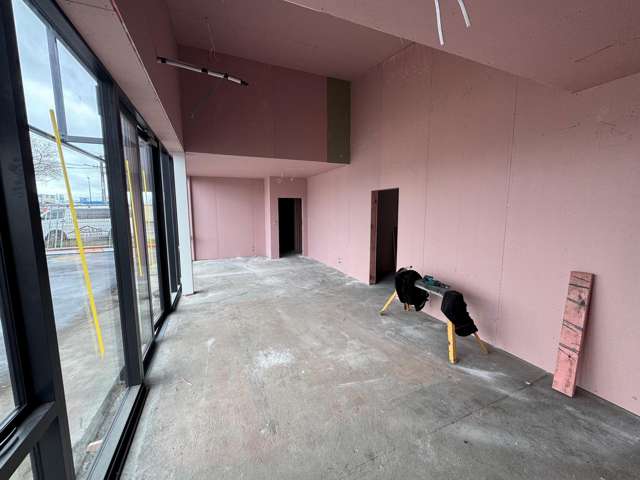 17 and 19 Euclid Avenue Te Rapa_4