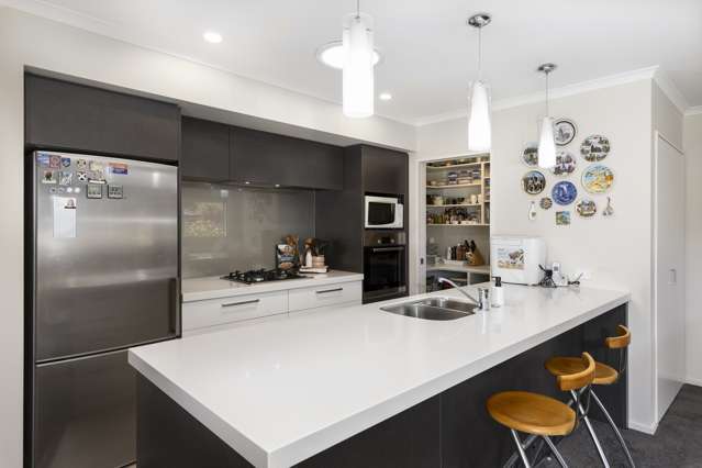 223 Taylor Pass Road Witherlea_4