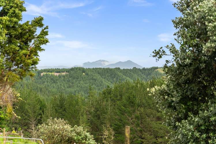 214 Milne Road Ruatangata_16