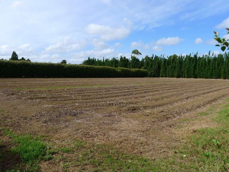 135 Waipapa West Road Kerikeri Surrounds_11