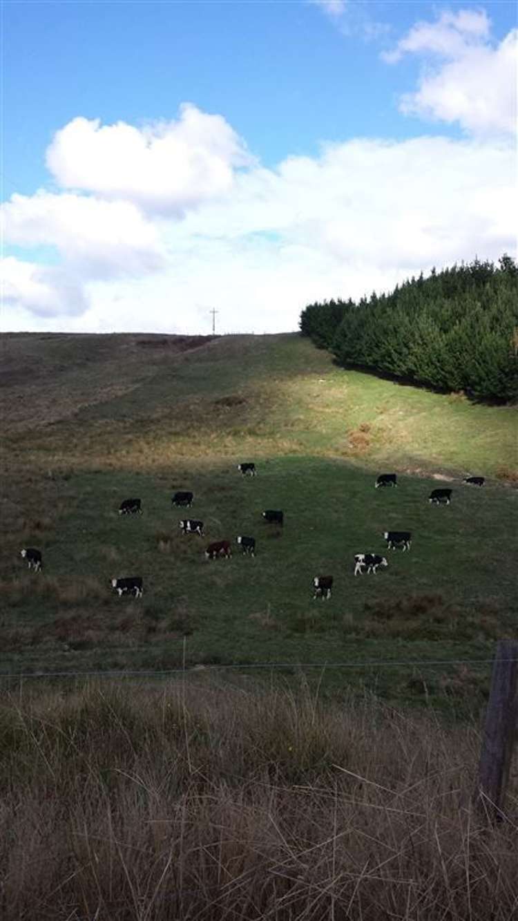 627 Churchill Road Pukekawa_10