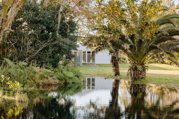 1164 Maniatutu Road Pongakawa_23