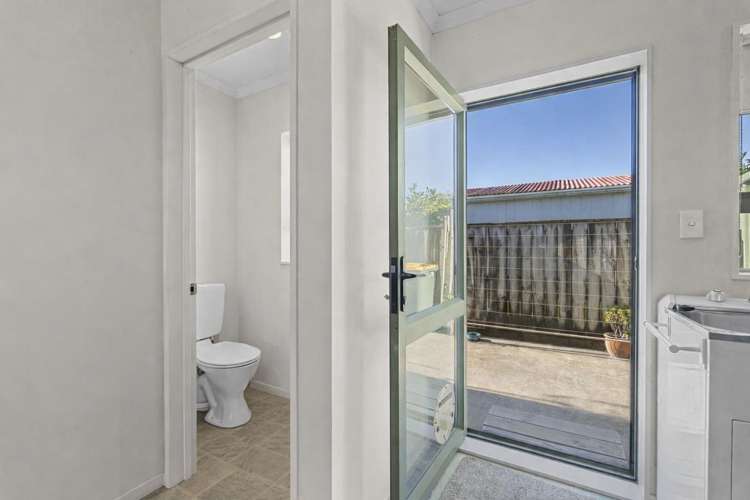 153A Carrington Street Vogeltown_19