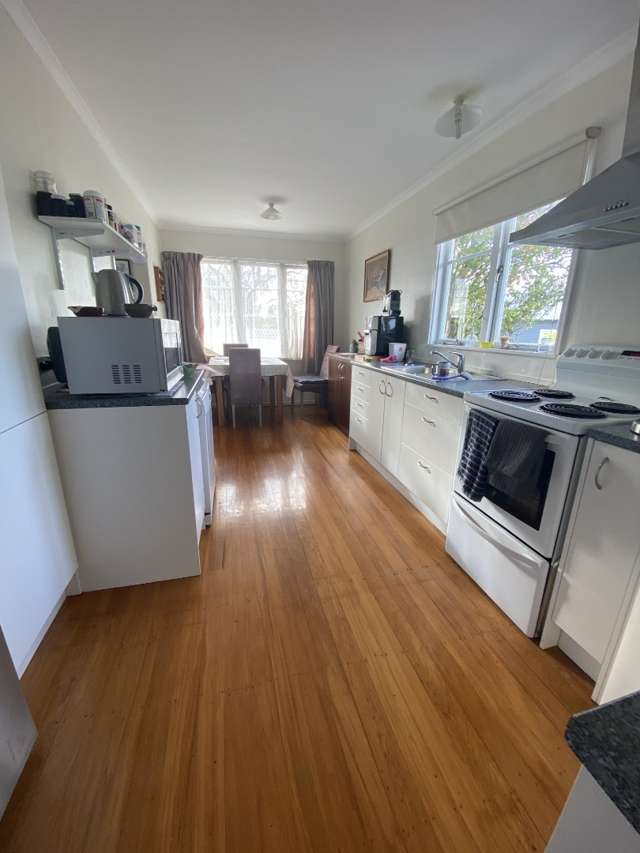 18 Pirinoa Street Feilding_2