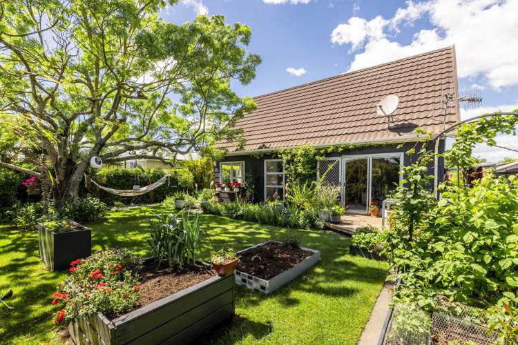 607B Maraekakaho Road Hastings Central_18