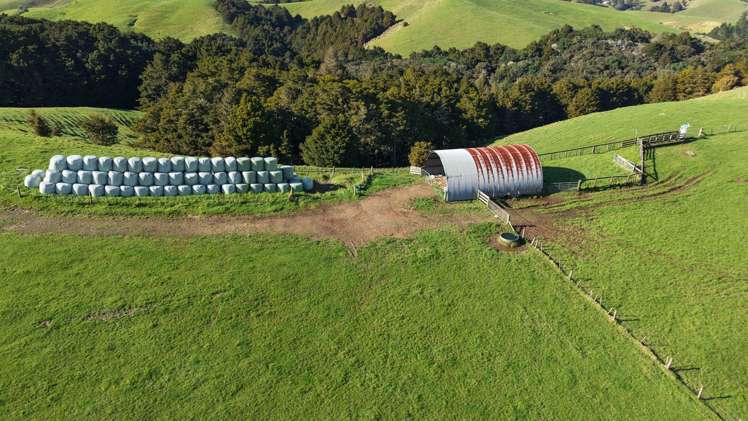 256 McIntyre Road Oromahoe_3