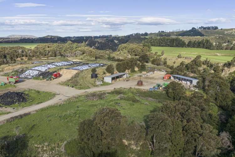 500 Willowford Road Waiwhare_11