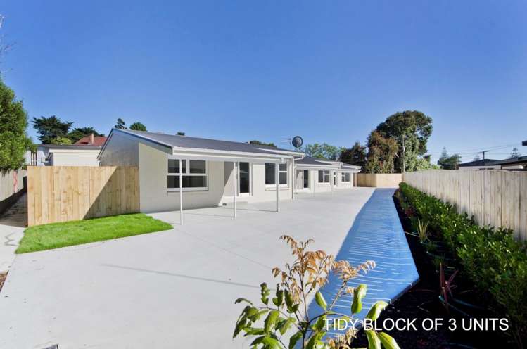 2/15 Monterey Avenue Otahuhu_16