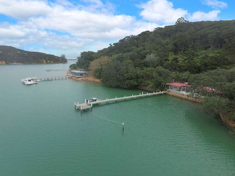 65 North Cove Kawau Island_25