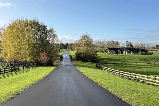 166J Postman Road Dairy Flat_2