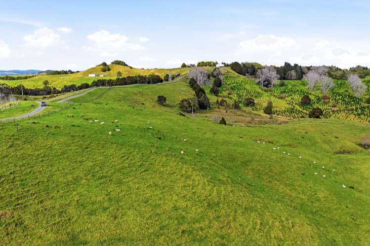 Lot 6 & 7 Otioro Road Topuni_19