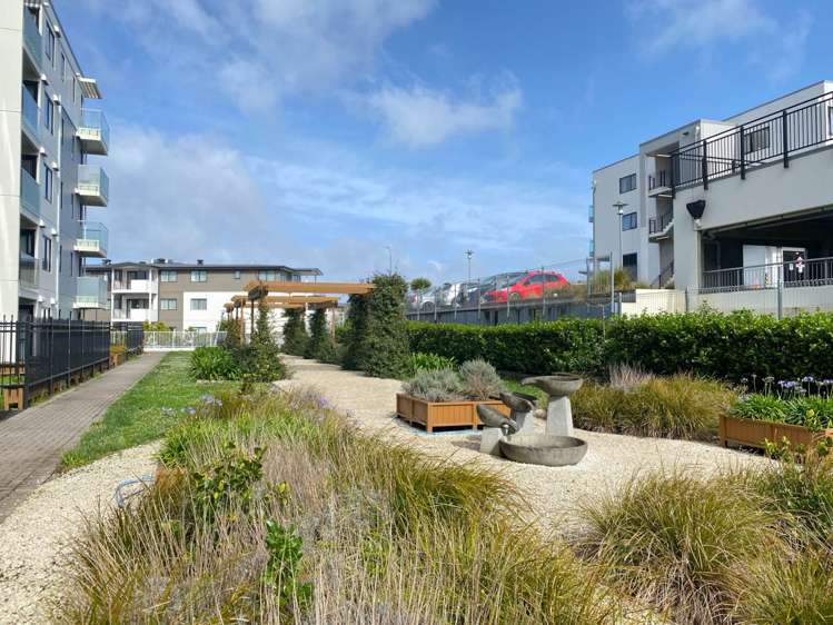 11/46g Rosedale Road Rosedale_11