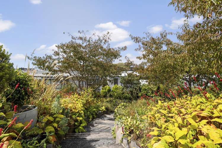 32 Charles Heaphy Lane Stonefields_22