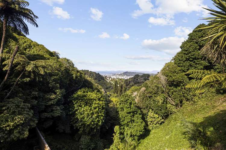 26b Koromiko Road Aro Valley_13