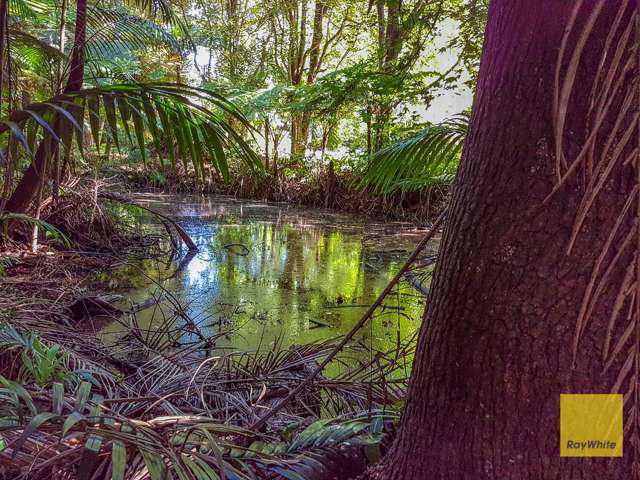 328 Long Road Tamborine Mountain_1