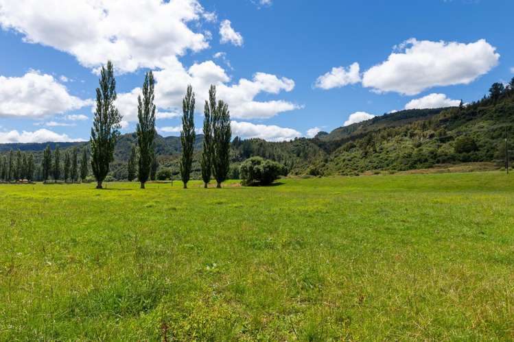 1153 Shenandoah Highway Murchison_36