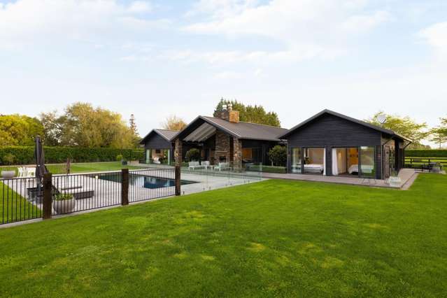 354 Bruntwood Road Tamahere_4