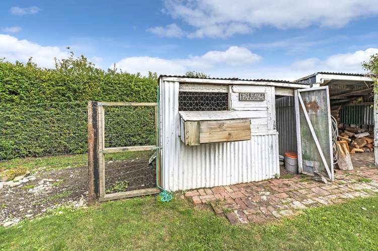 48 Pocock Road Springfield_22