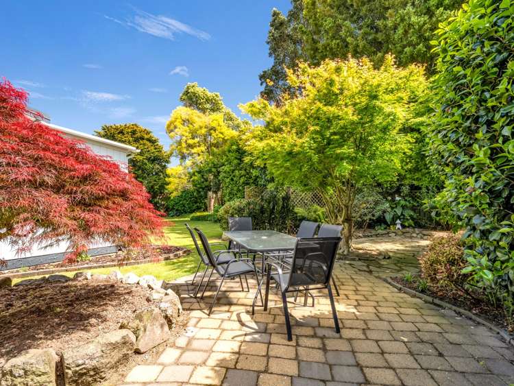 81 College Road Edgecumbe_26