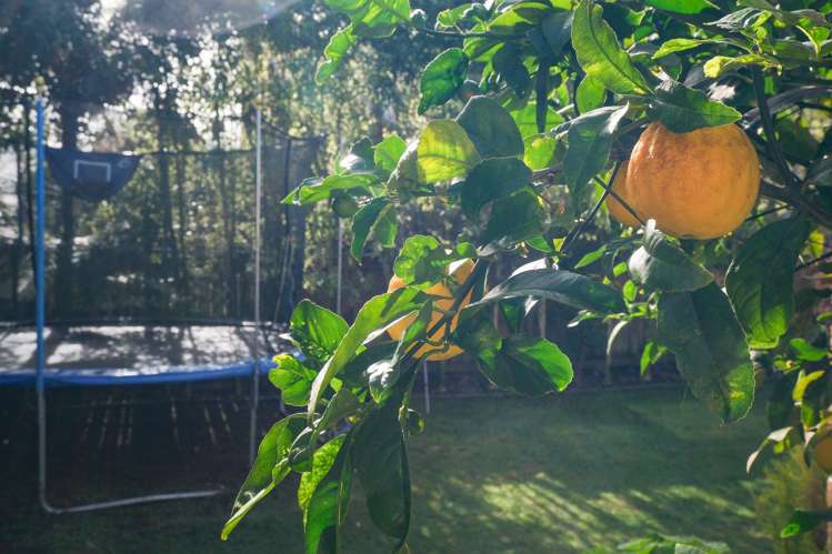 106B Tarawera Road Lynmore_20