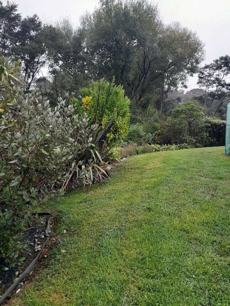 46 Sherrybrooke Place Sunnyvale_12