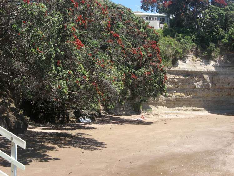 6b Hurdlow Place Manly_11