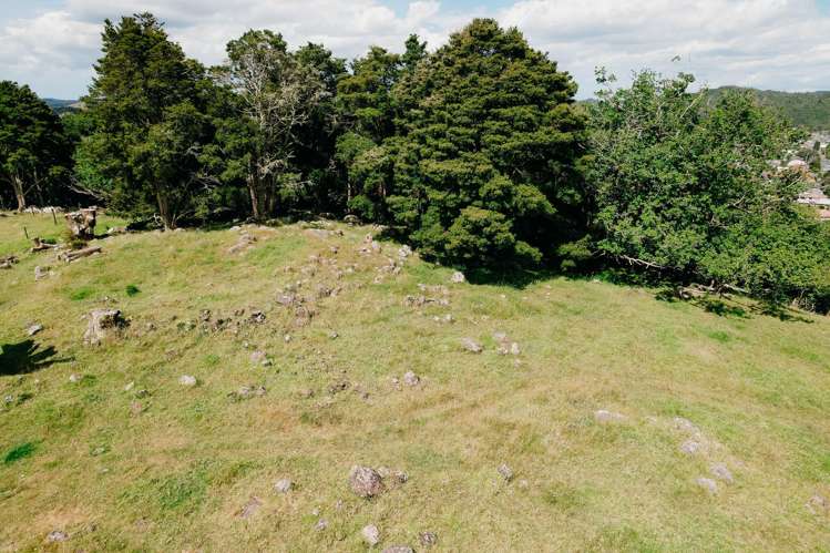 48 Bedlington Street Whau Valley_30