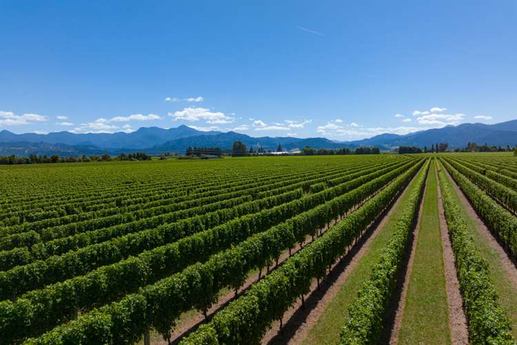 129 Waihopai Valley Road Waihopai Valley_31