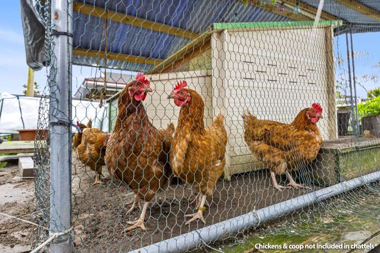 2/39 Blacklock Avenue Henderson_18