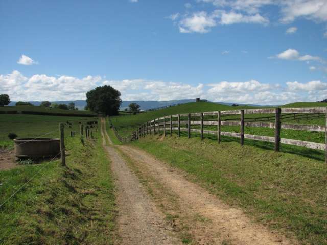 205 Gunn Road Waharoa_3