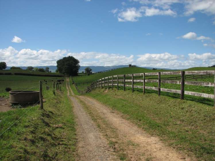 205 Gunn Road Waharoa_3