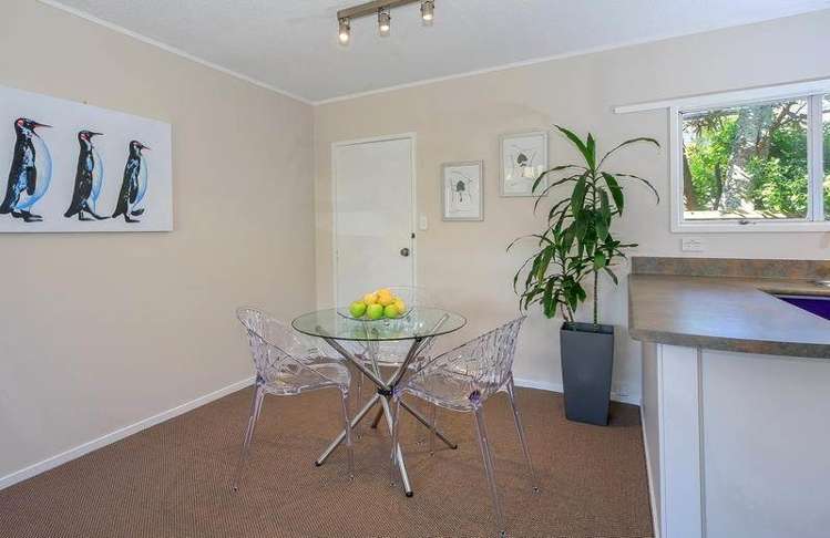 11/8 Shackleton Road Mount Eden_7