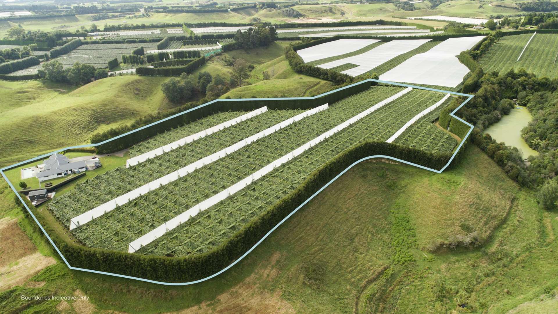 471b Old Coach Road Paengaroa_0