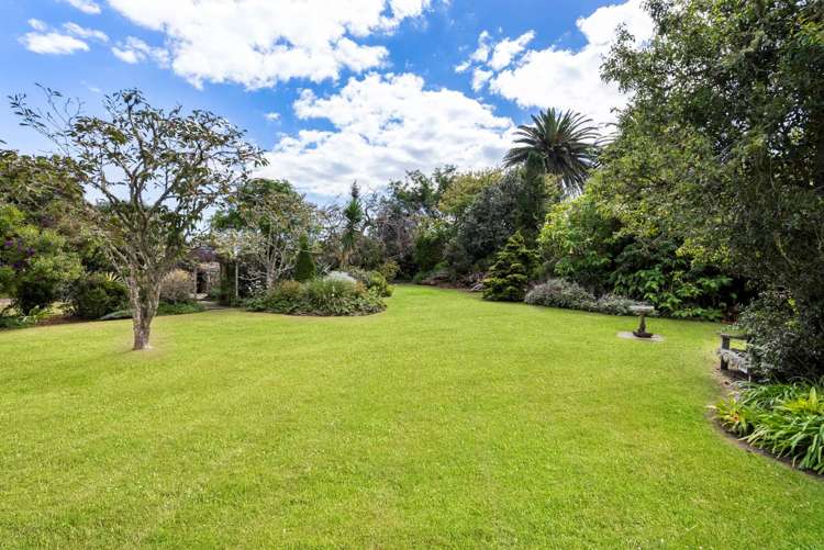 356 Shelly Beach Road South Head_22