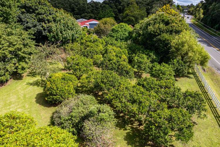 915 State Highway 14 Maungatapere_19