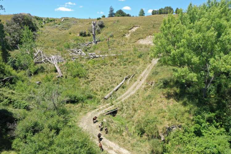 400 Rakaiatai Road Dannevirke_24