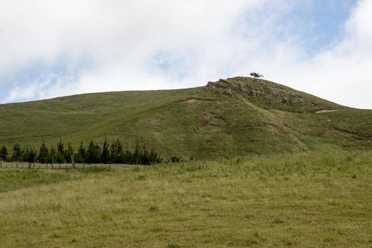 Address withheld Windsor_24