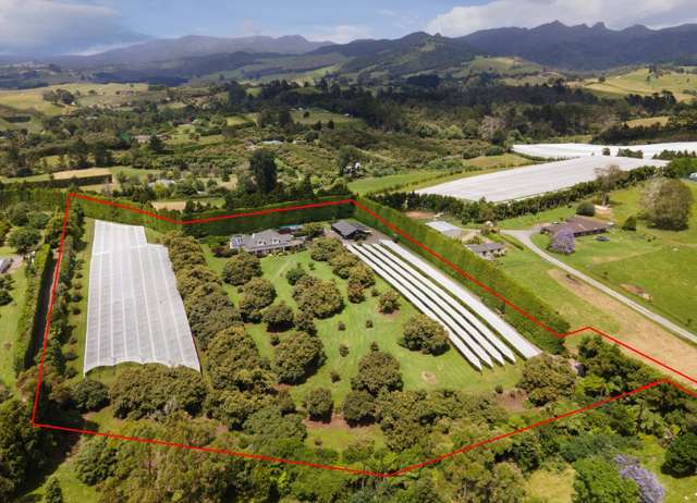 241 Rea Road Hauraki Surrounds_1