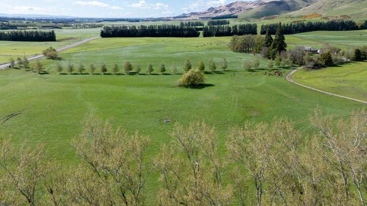 1317 Waimea Valley Road Nine Mile_8